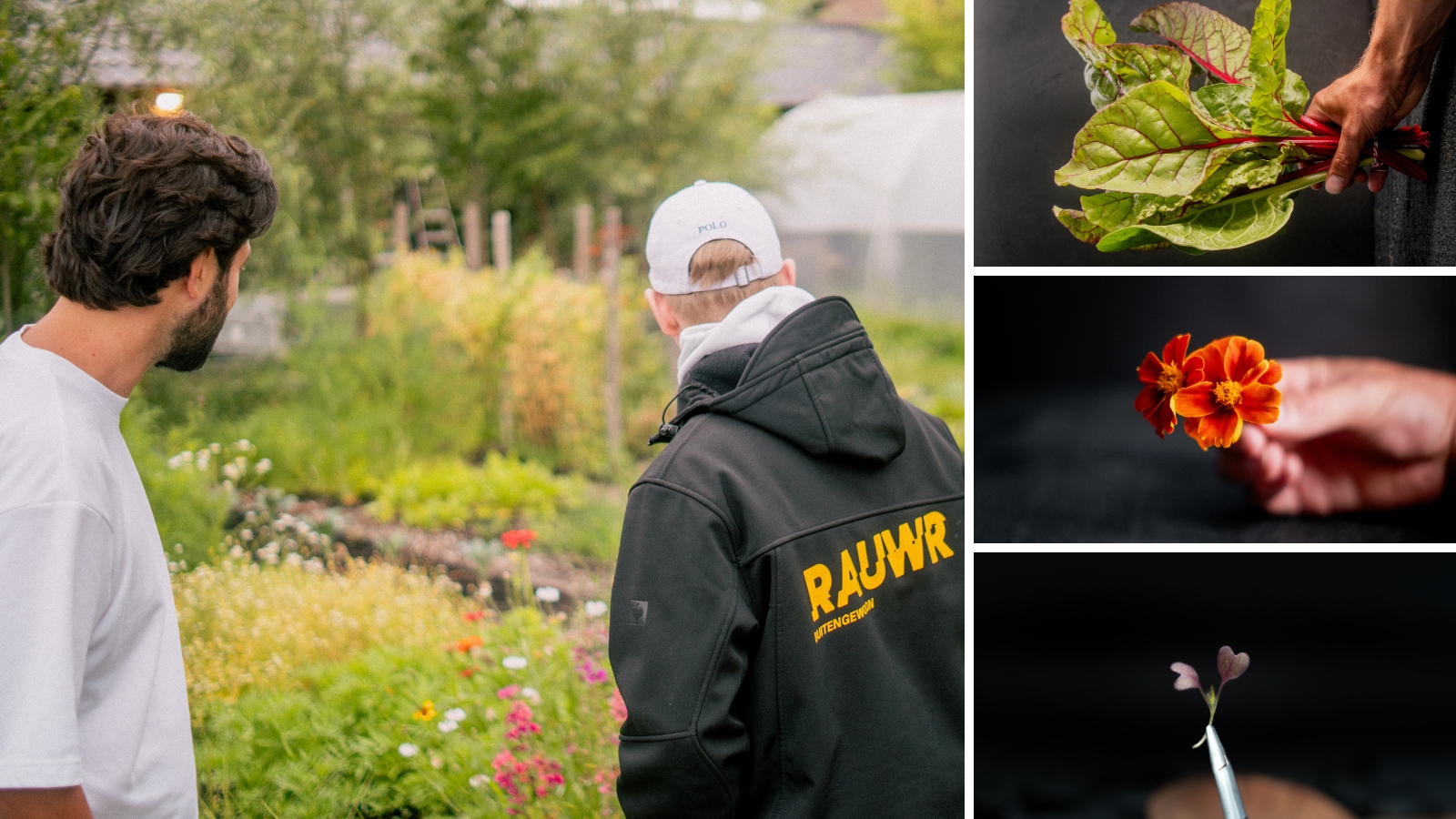 RAUWR levert ook circulair geteelde groenten, kruiden en cressen voor de horeca